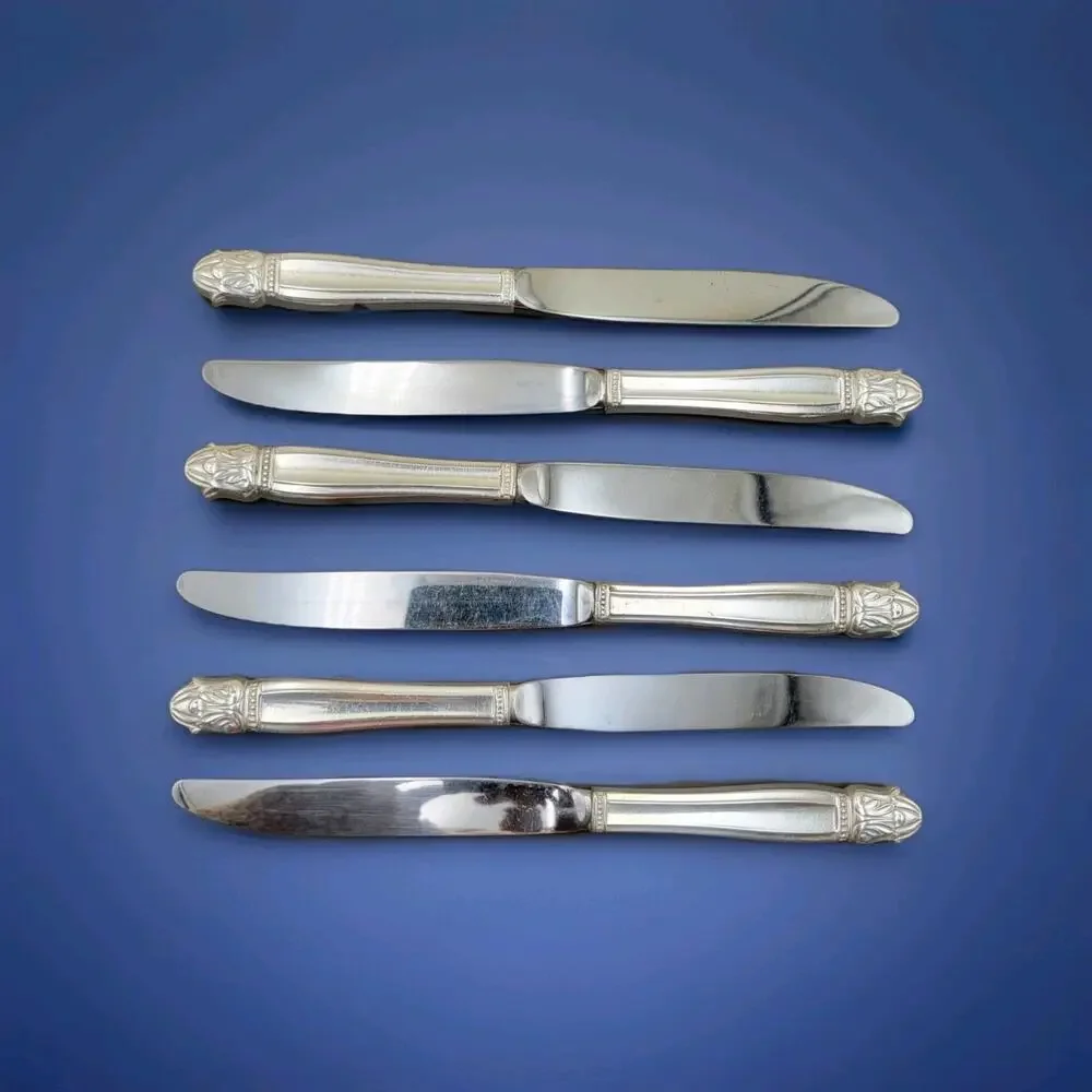 Service for 6 DANISH PRINCESS Silverplate Holmes & Edwards Flatware Set in Case